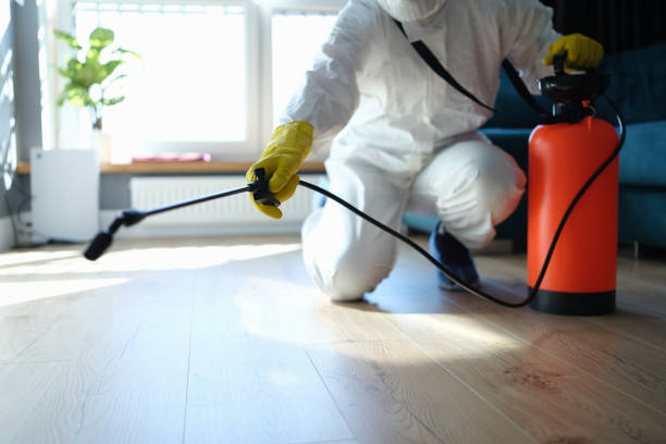 Reliable Odor Removal contractor in Lincoln, AR by Trauma Clean Pros